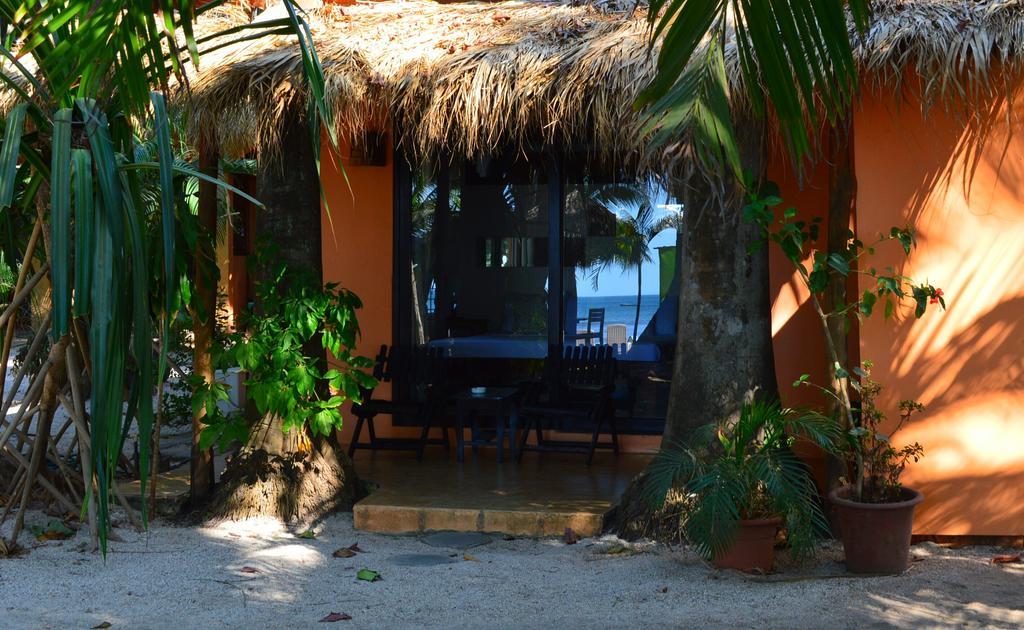 La Palapa Guest House Tamarindo Room photo