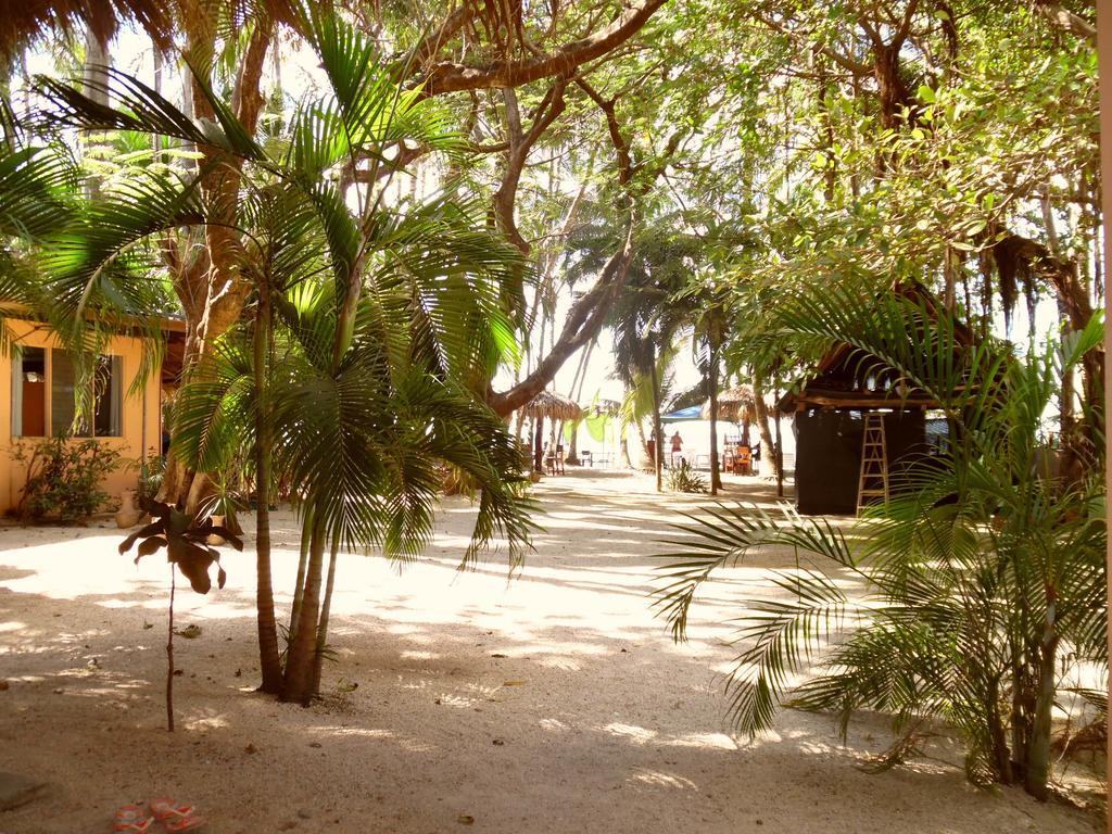 La Palapa Guest House Tamarindo Room photo